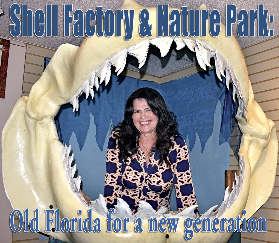 Shell Factory & Nature Park survives, thrives | News, Sports, Jobs - Vimarsana News