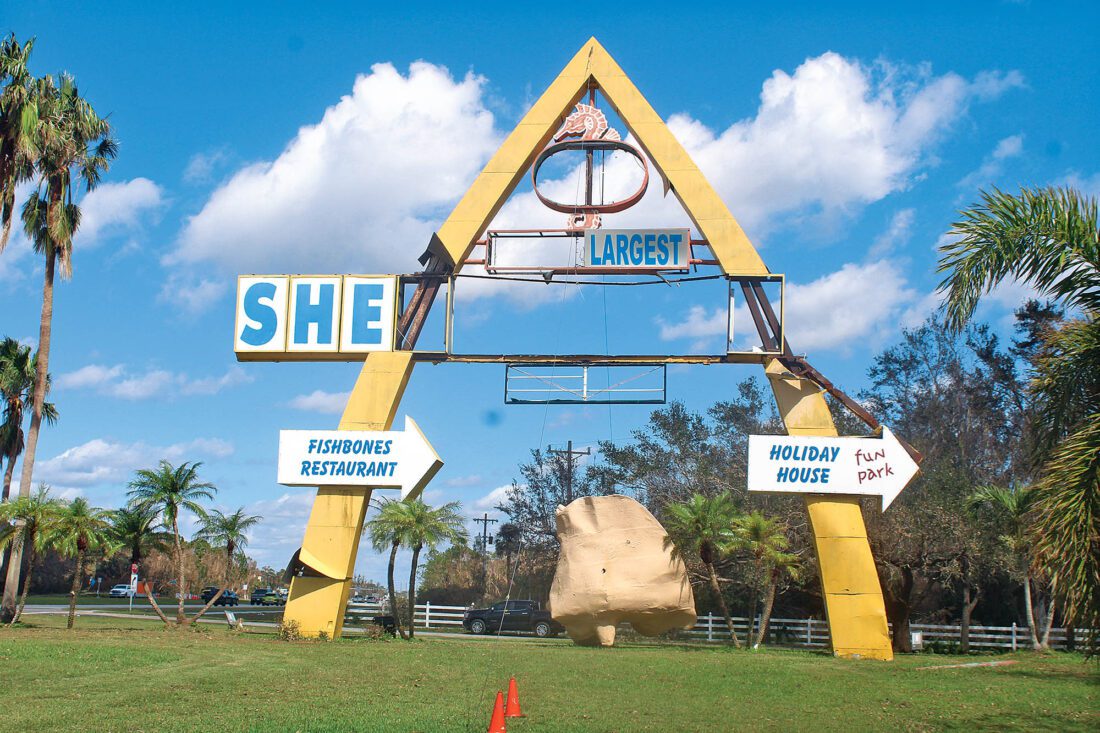 Shell Shocked | News, Sports, Jobs - North Fort Myers Neighbor - Vimarsana News
