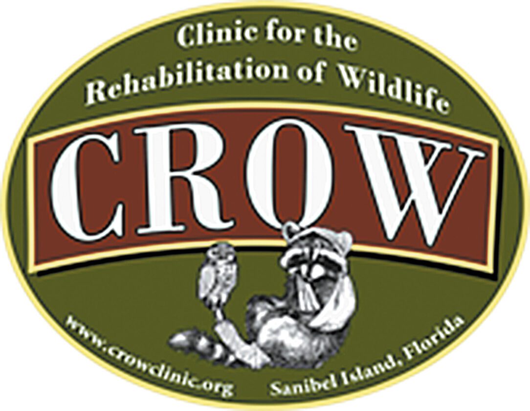 Mark Loren Designs creates, donates Sea Oats Collection to benefit CROW on Sanibel | News, Sports, Jobs - Vimarsana News