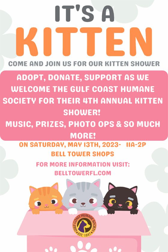 Kitten Shower at Gulf Coast Humane Society Saturday | News, Sports, Jobs - Vimarsana News