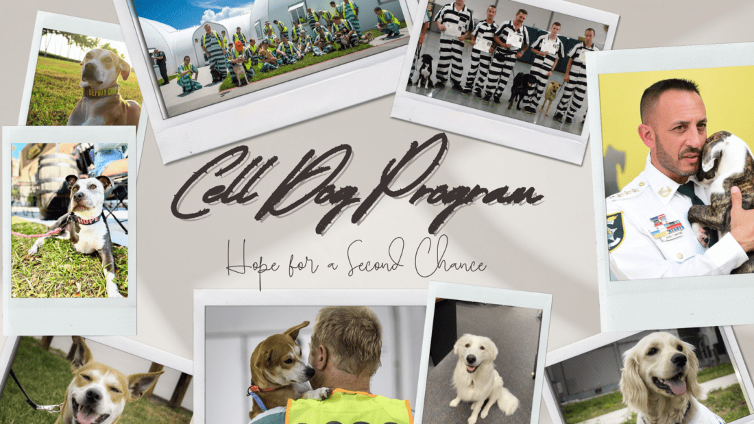 Lee County Domestic Animal Services and Lee County Sheriff's Office celebrate Cell Dog Program with three graduates | News, Sports, Jobs - Vimarsana News
