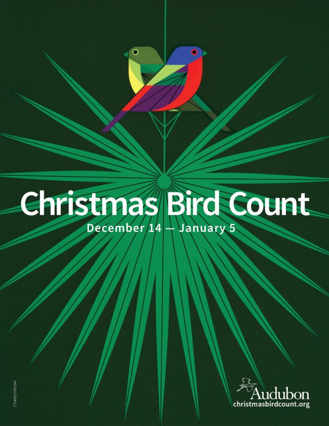 Help count birds for science during Audubon's 124th Annual Christmas Bird Count | News, Sports, Jobs - Vimarsana News