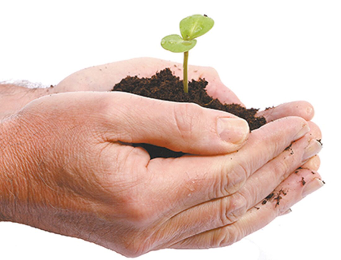 Free garden tours at the Cape Coral Museum of History | News, Sports, Jobs - Vimarsana News