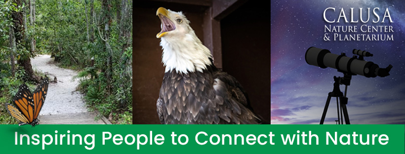 Calusa Nature Center & Planetarium | February events | News, Sports, Jobs - Vimarsana News