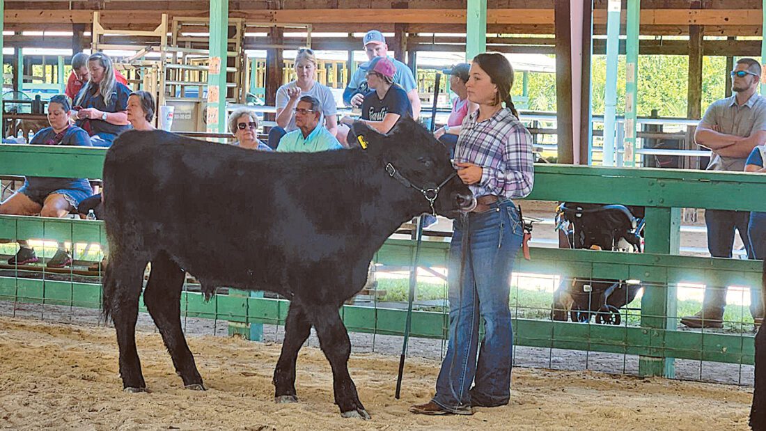 North Fort Myers Neighbor Living | 4-H: A passion passed from generation to generation | News, Sports, Jobs - Vimarsana News