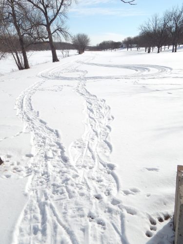 Snow designs | News, Sports, Jobs - Vimarsana News