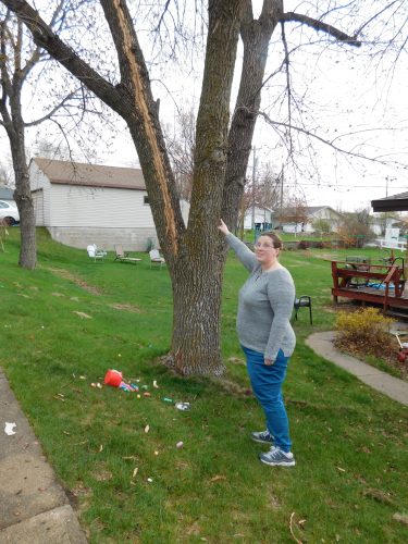 Lightning strikes tree, damages house | News, Sports, Jobs - Vimarsana News