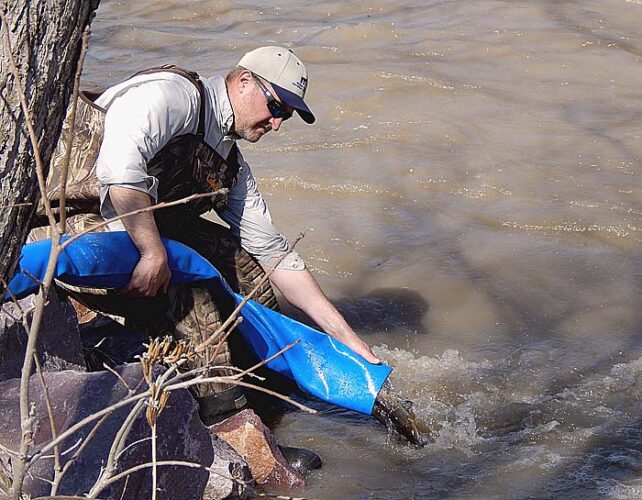 DNR stocks trout in area creeks | News, Sports, Jobs - Vimarsana News