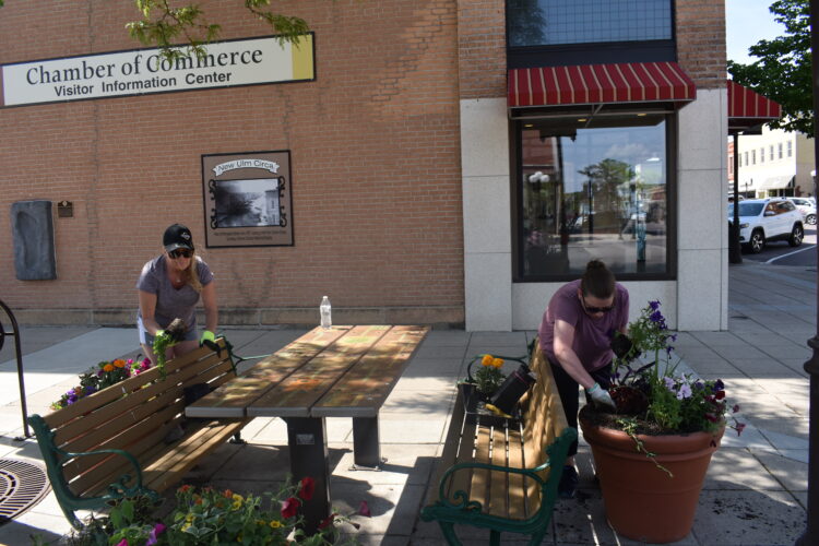 Chamber of Commerce beautifies downtown | News, Sports, Jobs - Vimarsana News