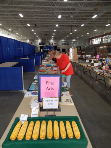 A fair amount of entries | News, Sports, Jobs - Vimarsana News