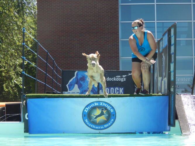 Diving dogs … | News, Sports, Jobs - Vimarsana News