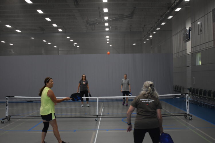 Pickleball available to all ages and skills | News, Sports, Jobs - Vimarsana News