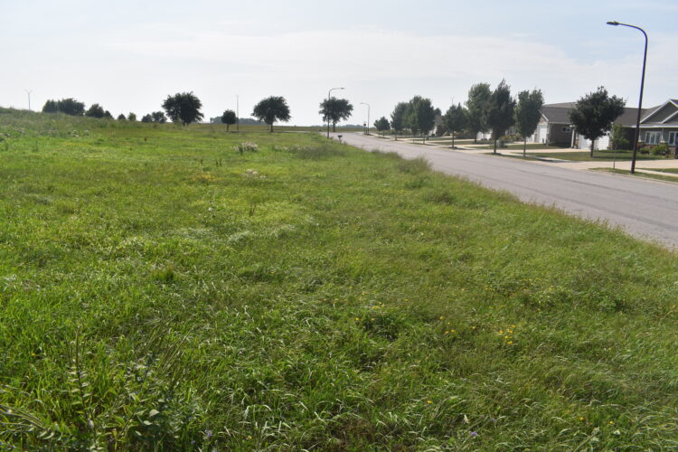 Dreamville housing development on hold | News, Sports, Jobs - Vimarsana News