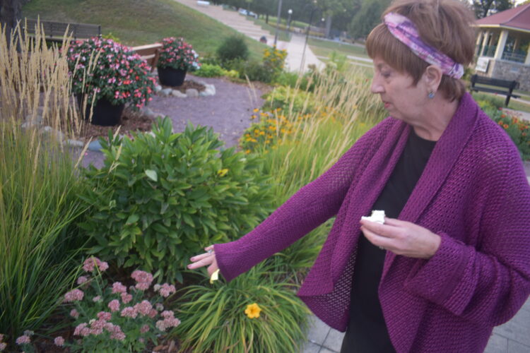 Keeping it simple in maintaining German Park | News, Sports, Jobs - Vimarsana News