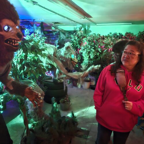 Creepy things that go bump in the night | News, Sports, Jobs - Vimarsana News