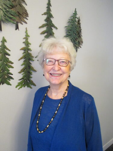 Mary Ellen Domeier, 50 years of business, volunteering | News, Sports, Jobs - Vimarsana News