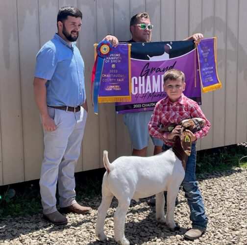 Youth 'go-at' the gold in another 4-H contest | News, Sports, Jobs - Vimarsana News