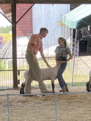 4-H Sheep Show a 'shear' success | News, Sports, Jobs - Vimarsana News