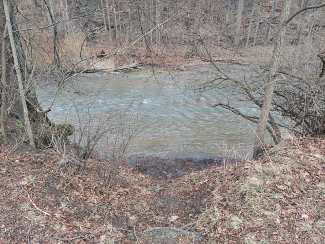 Creek improvements plan floated | News, Sports, Jobs - Vimarsana News