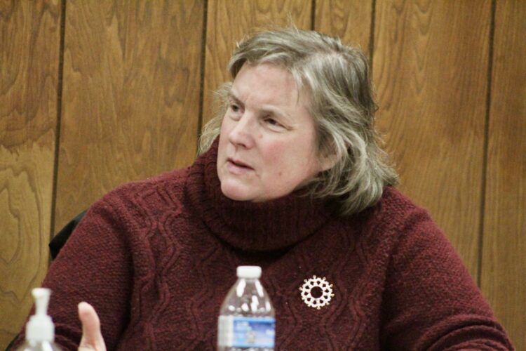 Town names new Planning Board chair | News, Sports, Jobs - Vimarsana News