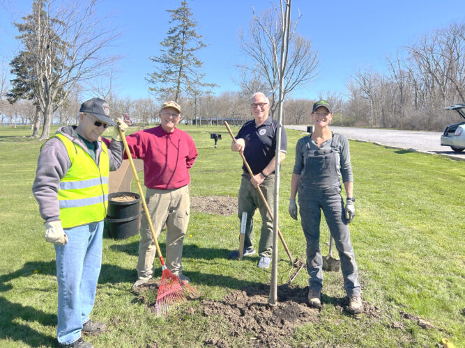 Shovel ready: City gets state grant for new trees | News, Sports, Jobs - Vimarsana News