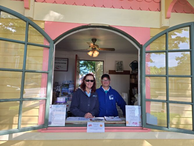 Attic & Seller Days returns to Fredonia in June