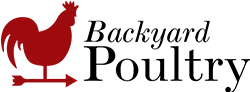 Backyard Poultry