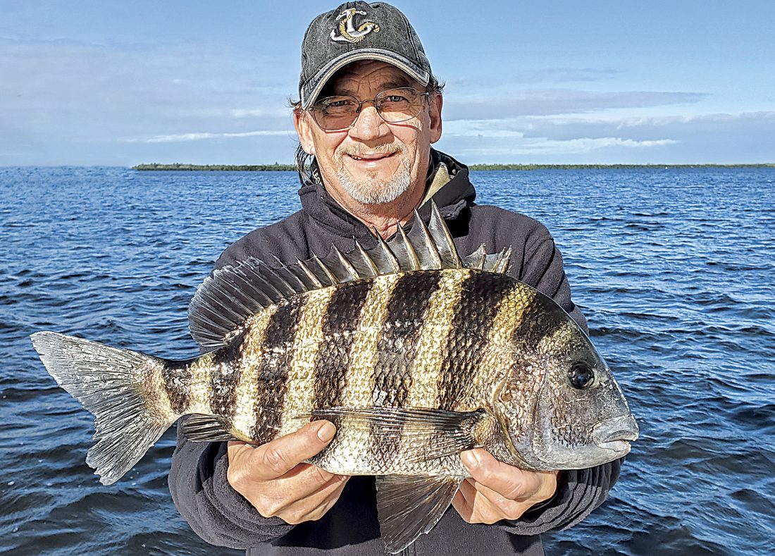 On the Water: Ups and downs of winter fishing in Southwest Florida | News, Sports, Jobs - Vimarsana News