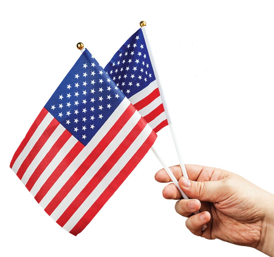 Pine Island Elementary to honor veterans with a Drive-Thru Parade this Thursday | News, Sports, Jobs - Vimarsana News