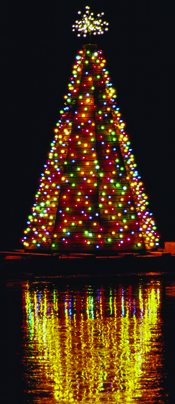 Pine Island Community Christmas Boat Parade Saturday | News, Sports, Jobs - Vimarsana News