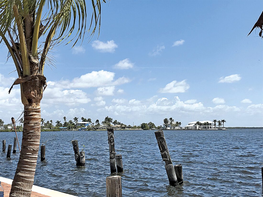 HAB Task Force feels public outcry may be the only way to affect change in local water quality | News, Sports, Jobs - Vimarsana News