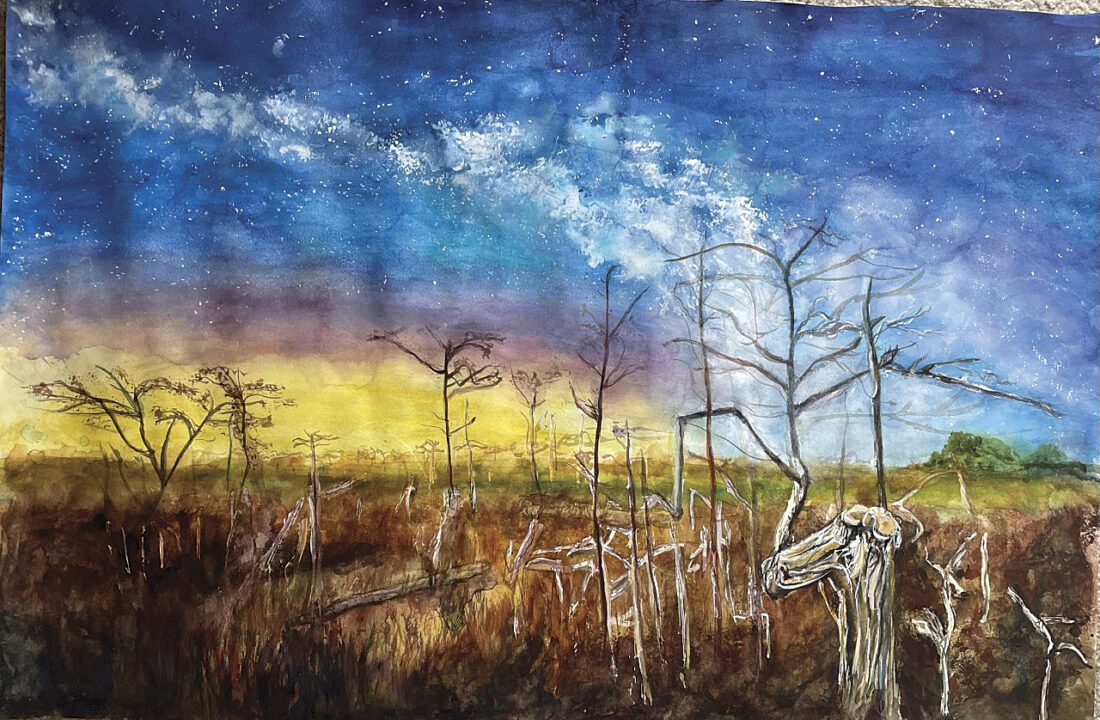 Mary Lewis Sheehan — falling in love with her paintings, one piece at a time | News, Sports, Jobs - Vimarsana News