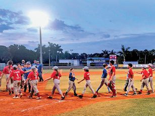 Reds earn last-inning win over Shuckers in PI Little League Cal Ripken Division play | News, Sports, Jobs - Vimarsana News