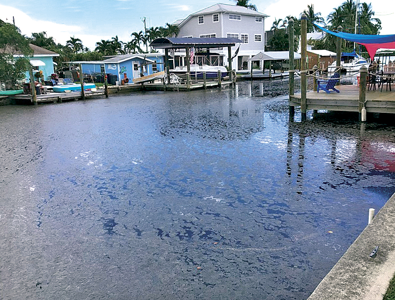 Local water quality update | News, Sports, Jobs - Vimarsana News