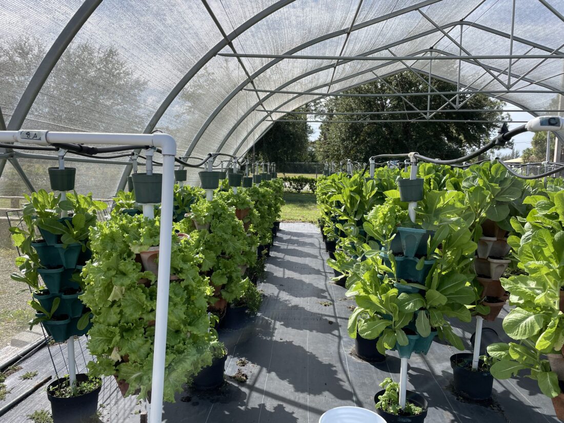 Grant enables School District to expand Food to Table program | News, Sports, Jobs - Vimarsana News