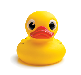 26th Great Calusa Rubber Duck Race March 2 | News, Sports, Jobs - Vimarsana News