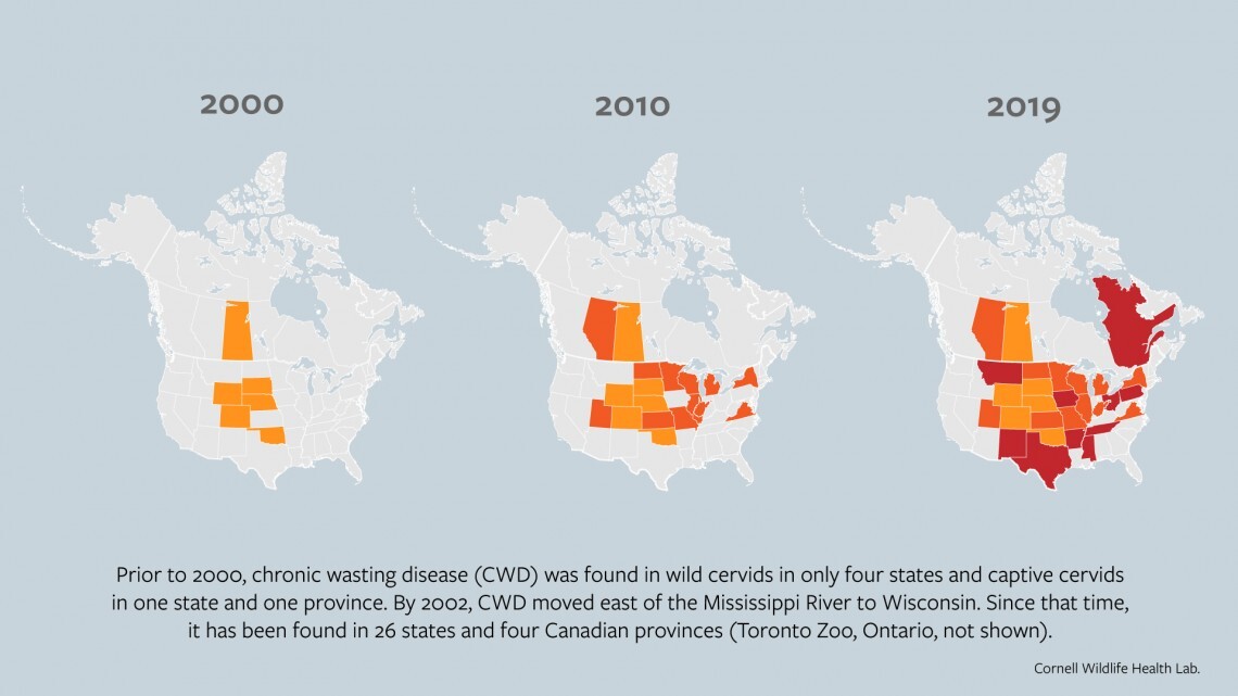 Expert Testifies On Deadly Deer Disease News, Sports, Jobs Post Journal