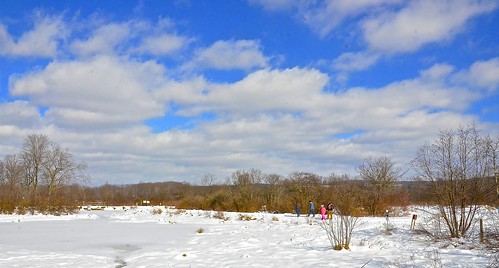 Audubon Morning Nature Walk Feb. 27 | News, Sports, Jobs - Vimarsana News