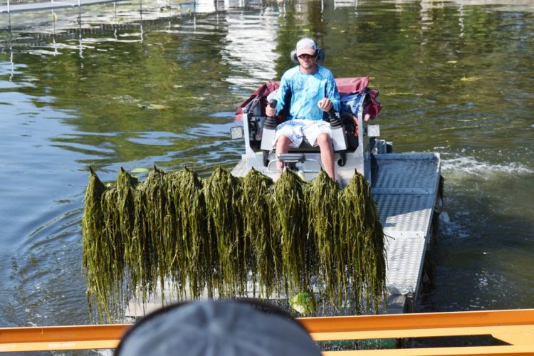 Lots Of Lake Information, Not Much Consensus | News, Sports, Jobs - Vimarsana News