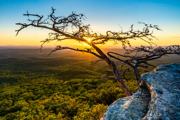 Audubon Announces Judges For 2023 Nature Photography Contest | News, Sports, Jobs - Vimarsana News