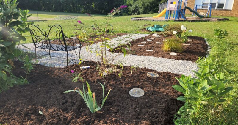 'Pretty Excited':Monarch Butterflies, Flower Garden To Be Featured At Earth Day Event | News, Sports, Jobs - Vimarsana News