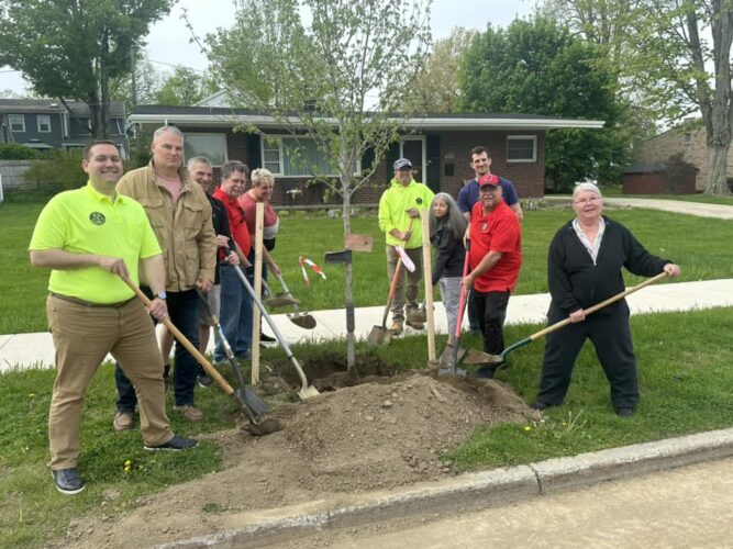 'Proud Moment': Tree Plantings Mark New Era For West Third Street In City | News, Sports, Jobs - Vimarsana News