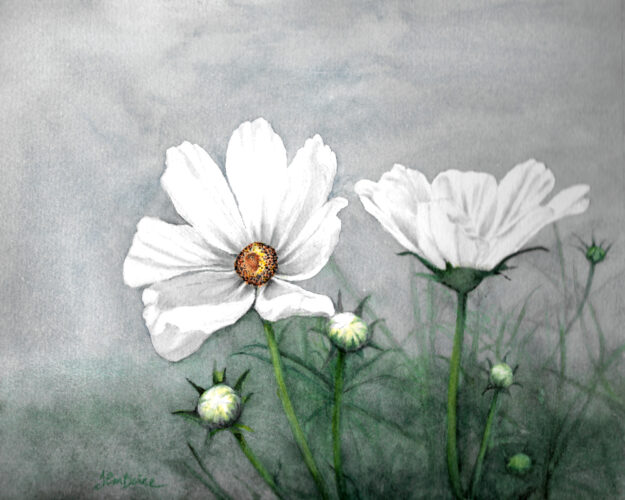 Crary Art Gallery To Present Two New Exhibitions | News, Sports, Jobs - Vimarsana News