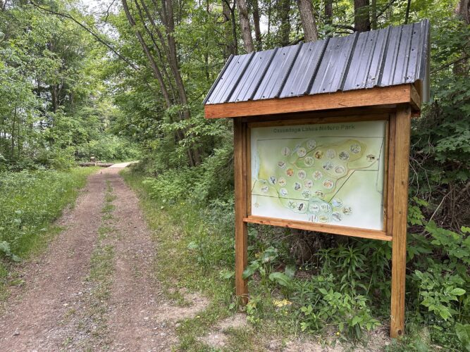 Get Out And Join Us This Summer! | News, Sports, Jobs - Vimarsana News