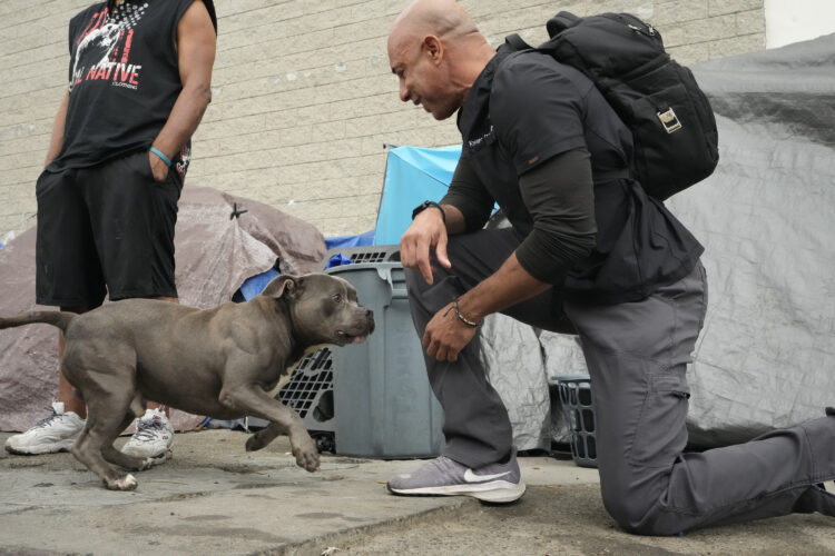 Veterinarian Cares For Pets Of California's Homeless Population | News, Sports, Jobs - Vimarsana News