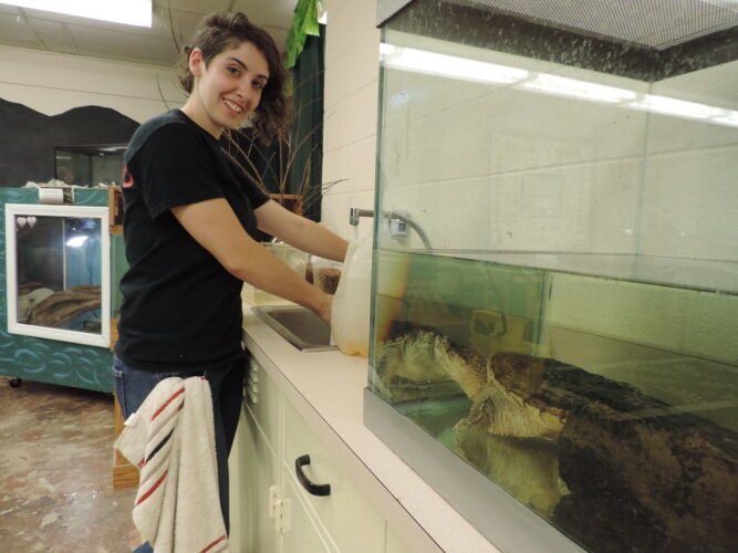Audubon Needs Animal Care Volunteers; Info Session Is Aug. 2 | News, Sports, Jobs - Vimarsana News