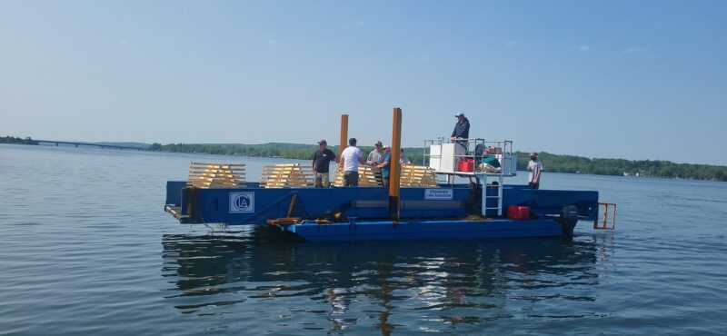 Lake Association Collaborates With Muskies Inc. For Project | News, Sports, Jobs - Vimarsana News