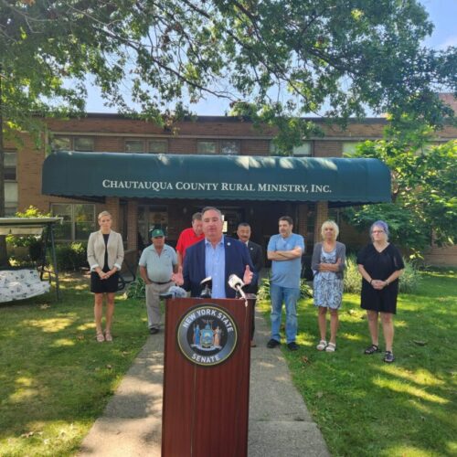 Audit Backs Legislators' Nourish NY Complaints, Proposes Fixes | News, Sports, Jobs - Vimarsana News