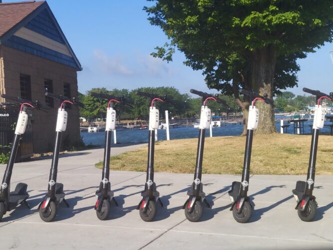 Jamestown's 'Bird' Problem Takes Flight, Scooter Rage | News, Sports, Jobs - Vimarsana News