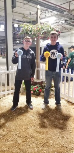 County 4-H Members Take Part In Louisville Competition | News, Sports, Jobs - Vimarsana News